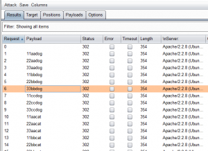 burp suite intruder payloads burp suite intruder payloads